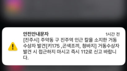 "175㎝에 곤색 조끼"…경남 진주서 '흉기' 거동수상자 발견