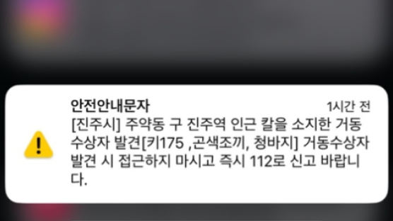 "175㎝에 곤색 조끼"…경남 진주서 '흉기' 거동수상자 발견