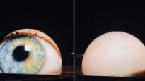 "깜빡깜빡, 기괴해"…美도심 한복판에 '111m 거대 눈알' 정체 