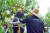 지난 1일 경기도 이천의 한 복숭아 농가에서 시몬스 직원들이 단체복을 입고 복숭아를 수확하고 있다. 사진 시몬스