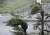 지난 5일 제6호 태풍 ‘카눈’의 영향권에 든 일본 오키나와현 나하시에서 폭우를 동반한 강풍에 가로수가 꺾이고 있다. [AP=연합뉴스]