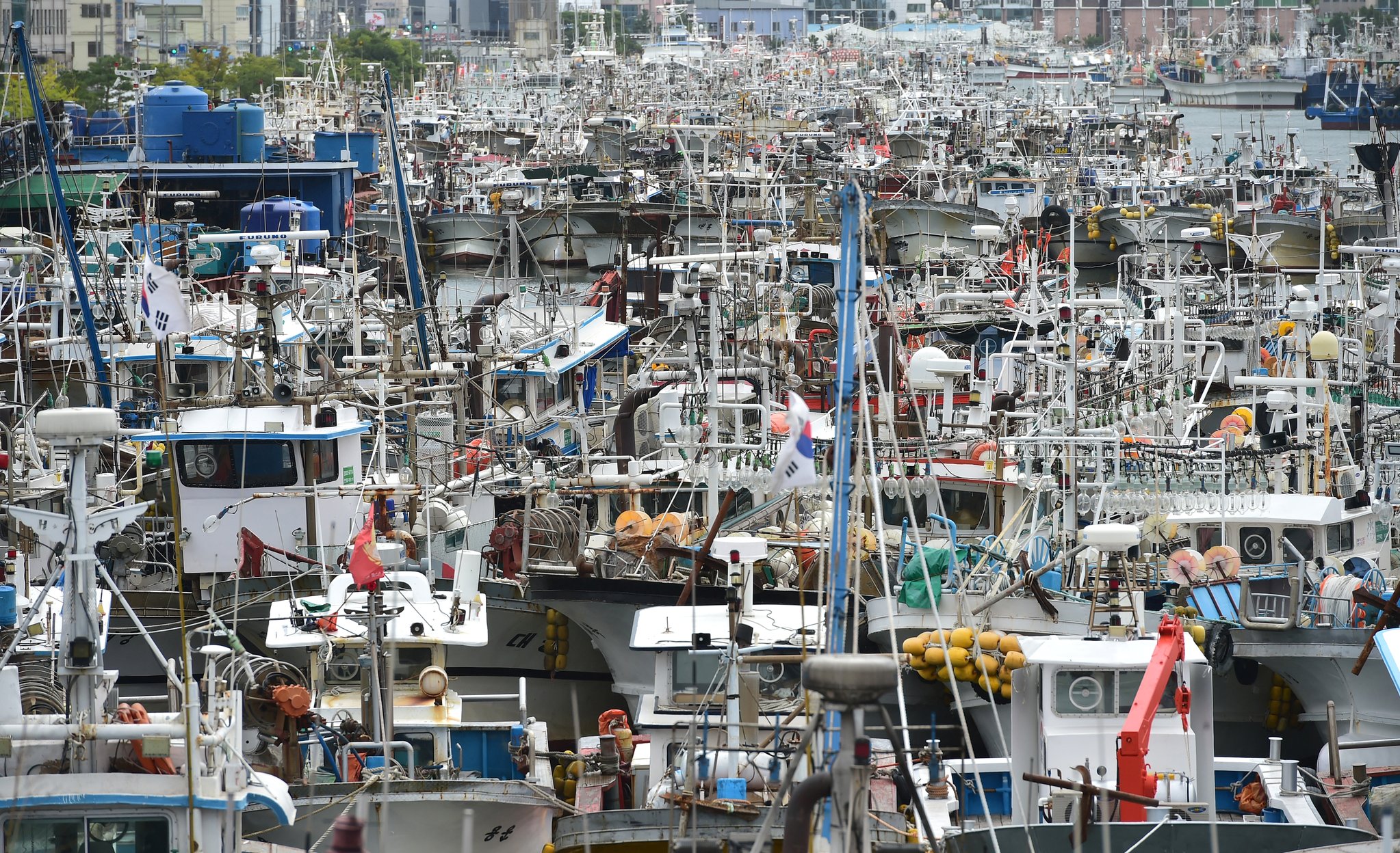8일 오전 경북 포항시 북구 동빈내항에 어선들이 빼곡히 정박해 있다. 뉴시스