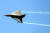 인도가 자체 개발한 경전투기 테자스가 올해 2월 인도 벵갈루루 옐라항카 공군기지의 에어쇼에서 비행하고 있다. 신화=연합뉴스 