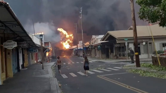 허리케인 덮친 하와이 산불…36명 사망, 주민들은 바다 뛰어들었다 