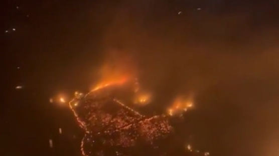 하와이 산불 사망자 80명으로 불어나…"더 늘어날 가능성"