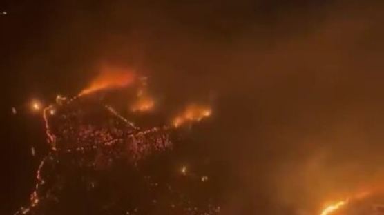 "전멸됐다" 재난지역 선포 하와이, 최악 산불로 최소 67명 사망 [영상]