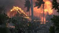 하루아침 잿더미 된 지상낙원…'36명 사망' 하와이, 재난지역 됐다