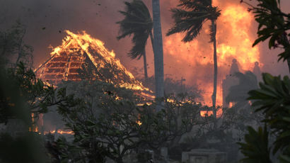 하루아침 잿더미 된 지상낙원…'36명 사망' 하와이, 재난지역 됐다