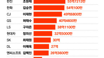 그룹 총수 상반기 보수는…신동빈 112억 1위