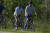 지난 13일(현지시간) 휴가 중인 조 바이든 미국 대통령(오른쪽)이 르호보스 해변 인근 케이프 헨로펜 주립 공원에서 자전거를 타며 지나고 있다. AP=연합뉴스