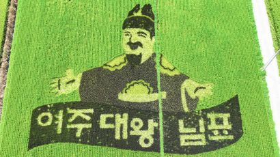 [포토타임]'쌀의 날'맞아 들판에 새겨진 대왕님 그림