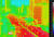 지난 1일 서울 송파구청 옥상에서 열화상카메라로 송파대로를 관측했다. 위에서부터 관측지역 전경 및 온도 분석 대상 영역. 아래 사진은 오후 1시에 열화상카메라로 촬영한 송파대로 모습. 기상청