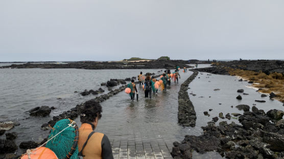 유네스코 인류문화유산…전국 1만 해녀 포럼 만든다