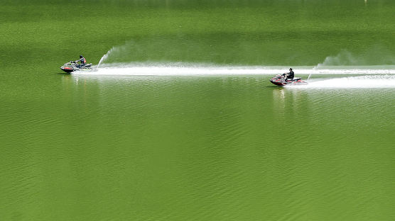 [포토타임] 초록빛으로 변한 대청호…폭우 이은 폭염에 녹조 기승