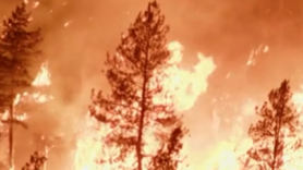 "나무껍질 비처럼 내리는 종말"...하루 100배 커진 캐나다 산불