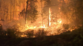 '역대급' 캐나다 산불, 남한보다 넓은 땅 태웠다…하와이는 13일째 [영상]