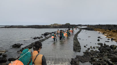 ‘유네스코 인류문화유산’ 전국 1만 해녀 하나로 잇는다