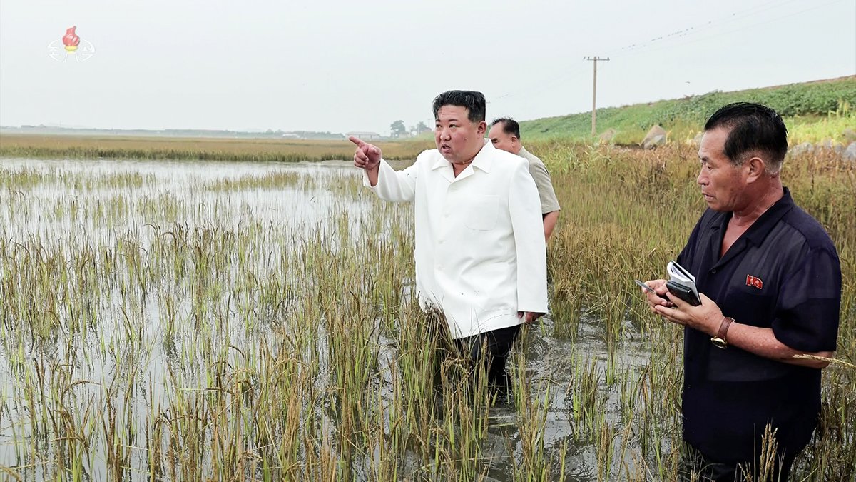 물에 잠긴 논에 들어간 북한 김정은 위원장. 연합뉴스