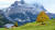 우리가 꿈꾸던 스위스의 모든 이미지를 품고 있는 피르스트와 그린델발트의 풍경. 