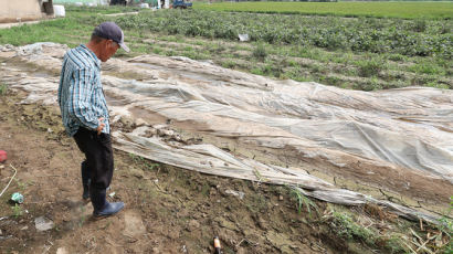 폭우 피해 농가에 최대 520만원 특별위로금…"3배로 인상된 수준"