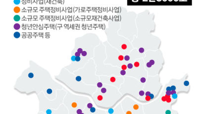 서울 아파트 공급, 내년 ‘보릿고개’ 온다...올해보다 30% 감소