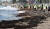 지난 11일 부산 수영구 광안리해수욕장에서 환경미화원들이 태풍 '카눈'의 영향으로 밀려온 해초 등 해양쓰레기를 치우고 있다.[뉴스1]