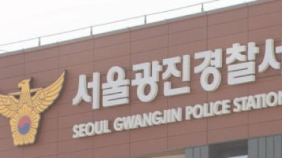 흉기 들고 서울 도심 배회한 20대 남성 체포…강제입원 조치