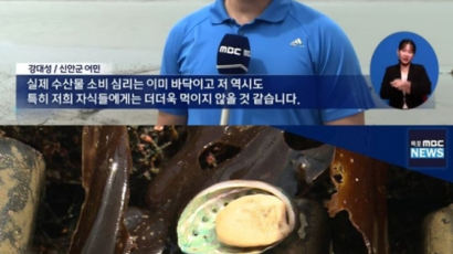 "자식에 수산물 못 먹여"…MBC 출연 어민, 민주당 출마자였다
