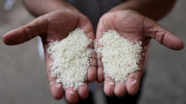 세계 최대 쌀 수출국인데…인도 또 수출통제 카드 꺼냈다 