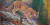 아메리카 대륙의 대형 포식자 퓨마. 중앙포토 