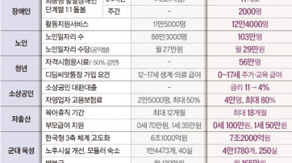 3축 체계 구축에 7조 투입, 병장 월급은 165만원으로 올라