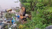 폭우에 고립된 소 6마리…크레인 매달린 소방대원이 구했다