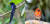 세이셸 라디그 섬에서 만난 새들. 왼쪽은 세이셸 긴꼬리딱새, 오른쪽은 레드 포디. 긴꼬리딱새는 라디그 섬에만 약 100마리 사는 멸종위기종이다. 눈 주위에 파란색 띠가 있다.
