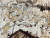 간토대지진 당시 벌어진 조선인 학살을 초등학교 교사였던 오하라가 2년에 걸쳐 그림으로 재현한 모습. 김현예 도쿄 특파원