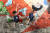 권기범(왼쪽)과 김채영이 지난 25일 서울산악문화센터의 볼더링 벽에서 포즈를 취했다. 김현동 기자