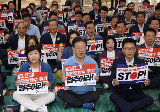 민주 "소선거구제 유지·3개 권역별 준연동형 비례대표제에 공감"