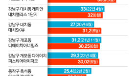 국민평형이 46억 육박, 서울 집값 들썩인다