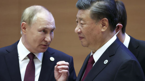 푸틴 "시진핑과 곧 만날 것…우리는 친구"…시, G20엔 불참 전망