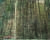 이만나, 벽16-1(The Wall 16-1), 130.3 x 162 cm, 캔버스에 오일, 2016. 지금은 없어진 서울 인사동 골목의 낡은 담을 그렸다. [사진 선화랑]