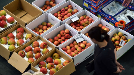 [사진] 사과·배값 폭등 … 추석 차례상 어쩌나