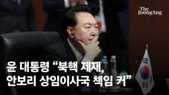 尹, 중·러 면전서 “북핵 제재, 안보리 상임이사국 책임 더 무겁다”