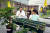 주재천(맨 왼쪽) 팀장이 소중 학생기자단에게 반려식물병원이 식물을 치료하고 돌보는 방법을 설명했다. 