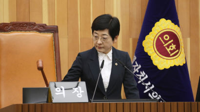 세종시의회 민주당, 상임위 통과한 조례안 부결...지자체 남북협력기금 논란