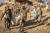 모로코 강진 피해자 구조·수색하는 요원들. AFP=연합뉴스