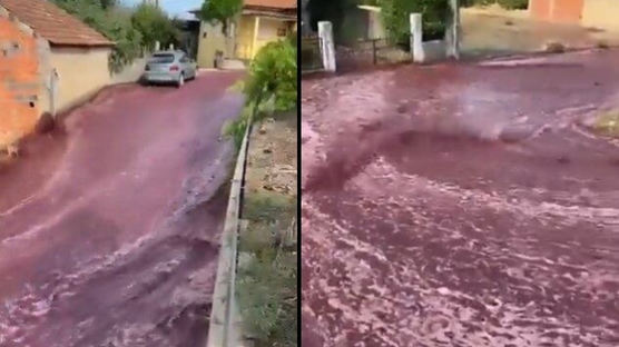 와인 220만ℓ 강물처럼 콸콸…포르투갈 마을 덮친 양조장 폭발 사고