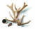 알타이산맥 청정 고산지대의 추운 환경을 이겨낸 사슴의 뿔. 구전녹용의 주원료로 쓰인다.