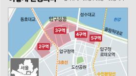 서울시, 압구정 지구단위계획안 처리…50층 건축 막는 규제 풀렸다