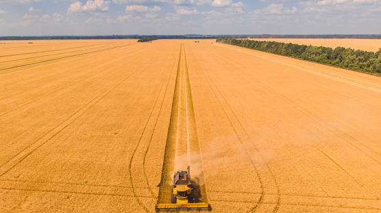 우크라, '농산물 수입 금지 유지' 폴란드 등 3개국 WTO 제소키로
