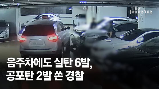 "탕탕탕" 음주운전 차에도 실탄 6발 쐈다…총기 주저않는 경찰