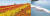 지난해 10월 ‘맨드라미 섬’인 전남 신안군 병풍도를 방문한 관광객들이 가을 정취를 만끽하고 있다. 작은 사진은 기점·소악도에 조성된 12사도 예배당 중 베드로의 집. [사진 신안군]